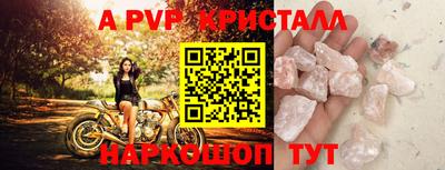 твердый Гусев