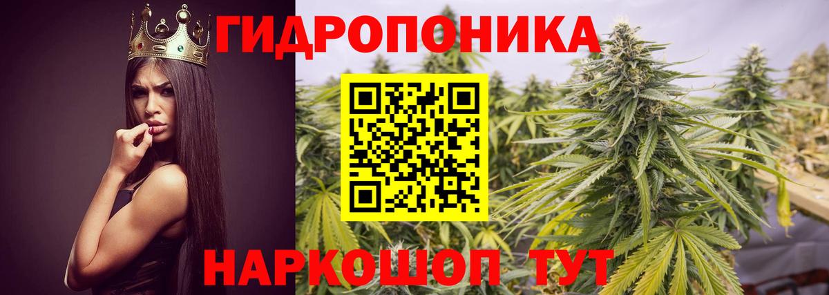 Канабис Amnesia Ливны